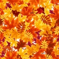 Seamless pattern with bright colorful autumn leaves. Vector illustration. Royalty Free Stock Photo