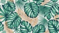 Seamless pattern with bright green leaves of monstera and tropical plants on a light background, contemporary collage trendy Royalty Free Stock Photo