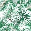 seamless pattern of bright green tropical leaves on white background.Vector Tropical palm leaves seamless pattern. Jungle floral