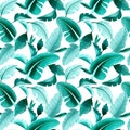 Seamless pattern with bright large tropical leaves on a white background. Royalty Free Stock Photo