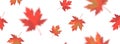 Seamless pattern with bright orange red blurred falling maple leaves isolated on white background. Seasonal banner, cover, Royalty Free Stock Photo