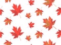 Seamless pattern with bright orange red blurred falling maple leaves isolated on white background. Seasonal banner, cover, Royalty Free Stock Photo