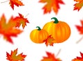 Seamless pattern bright orange red blurred falling maple leaves and pumpkins isolated on white background. Seasonal banner, cover Royalty Free Stock Photo