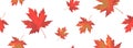 Seamless pattern with bright orange red falling maple leaves isolated on white background. Seasonal banner or holiday vintage Royalty Free Stock Photo