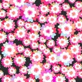 Seamless pattern bright pink purple flowers cornflower, violet, pansy on black background. Vector Royalty Free Stock Photo