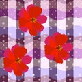 Seamless pattern with bright red cosmos flowers on creative checkered background in vector. Print for fabric, tile, wallpaper Royalty Free Stock Photo