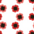 Seamless pattern of bright scarlet flowers, stylized poppies. Royalty Free Stock Photo