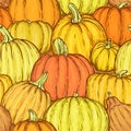 Seamless pattern with bright sketchy pumpkins. Vector illustration