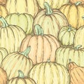 Seamless pattern with bright sketchy pumpkins. Vector illustration