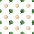 Seamless pattern with broccoli and cauliflower on white background. Vegetable abstract seamless pattern
