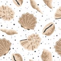 Seamless pattern with brown seashells. Vector flat illustration Royalty Free Stock Photo
