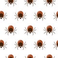 Seamless pattern brown tick insect icon isolated on white background. Mite bug drawn abstract print, vector flat design