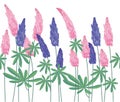 Seamless pattern brush with lupinus. Endless horizontal texture.