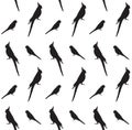 Seamless pattern of budgie cockatiel silhouette