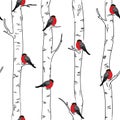 Seamless pattern with with bullfinches stinting on white birches