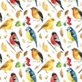 Seamless pattern. Bullfinches, titmice, canaries, robin birds. Autumn leaves and herbs watercolor, isolated background