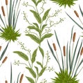 Seamless pattern with bulrush and swamp plants.