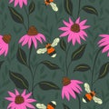 Seamless pattern with bumblebees and echinacea flowers. Vector graphics Royalty Free Stock Photo