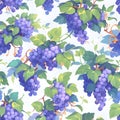 Seamless pattern with bunch of blue grapes on white background