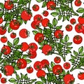 Seamless Pattern of Bunch Cherry Tomatoes on a Branch With Leaves. Botanical Gardening Illustration. Ketchup Logo or Vegetable Sal