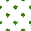 Seamless pattern bunch spinach salad on white background. Minimalistic ornament with lettuce