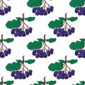 Seamless pattern with bunches of chokeberry