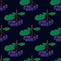 Seamless pattern with bunches of chokeberry