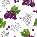 Seamless pattern with bunches of dark grapes, green leaves and black-white outline on white background. Royalty Free Stock Photo