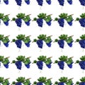 Seamless pattern. bunches of purple grapes on branches with leaves.