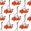 Seamless pattern with bunches of red rowan berries