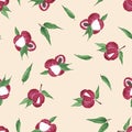 Seamless pattern with burgundy fruits and green lychee leaves on a delicate beige and pink background. Watercolor illustrations. Royalty Free Stock Photo