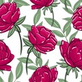 Seamless pattern with burgundy peonies. Vector, peony.