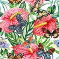 Seamless pattern with butterflies, anthurium flowers, floral background. Vintage watercolor style. Flora design. Royalty Free Stock Photo