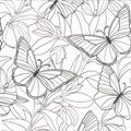 Seamless pattern with butterflies and flowers. Black and white background Royalty Free Stock Photo