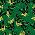 seamless pattern of butterflies on a green background Royalty Free Stock Photo