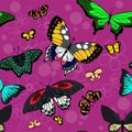 Seamless pattern with butterflies. illustration.