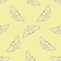 Seamless pattern with butterfly Bombyx mori. hand-drawn butterfly Bombyx mori .