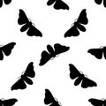 Seamless pattern with butterfly Bombyx mori.