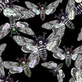 Seamless pattern. Butterfly dead head, adam's head. Black and white graphics handmade. Pattern