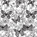 Seamless pattern butterfly and flower hand sketch with line art Royalty Free Stock Photo