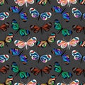 Seamless pattern with butterfly Greta Oto