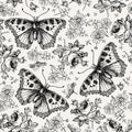 Seamless pattern butterfly Realistic isolated flowers Vintage background Rose Chamomile Wallpaper Drawing engraving textile insect Royalty Free Stock Photo