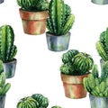 Seamless pattern with cacti watercolor.