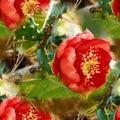 seamless pattern cactus bloom. A red flower bloomed on a green cactus Royalty Free Stock Photo