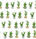 Seamless pattern with cactus on hte white background