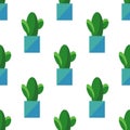 Seamless pattern of cactus in pots isolated on white background. Simple cartoon vector style. Flat design. House plant Royalty Free Stock Photo