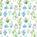 Seamless pattern of a cactus, sikkulent and floral.