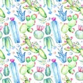 Seamless pattern of a cactus, sikkulent and floral.