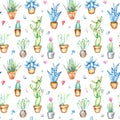 Seamless pattern of a cactus, sikkulent,flowerpot and floral.