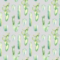 Seamless pattern of a cactus and sikkulent.